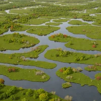 Tinicum Marsh