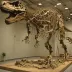 T. rex Sue