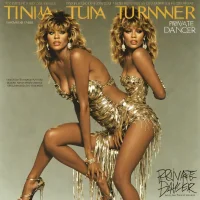 Tina Turner - Private Dancer