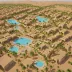 Touggourt Oasis