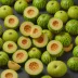 Takami Melon