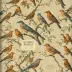 The Birds and Other Stories