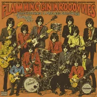 The Flamin' Groovies - Supersnazz