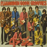 The Flamin' Groovies - Flamingo