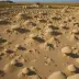 Toadstool Geologic Park