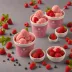 Talenti Roman Raspberry Sorbetto