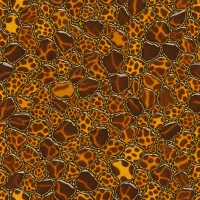 Tortoiseshell
