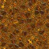 Tortoiseshell