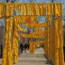 The Gates by Christo and Jeanne-Claude