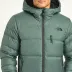 The North Face Hydrenalite Down Hoodie