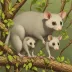 Tyler's mouse opossum