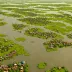 Tonle Sap Lake