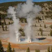 Terminal Geyser Fumaroles