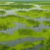 Tonda Wildlife Management Area