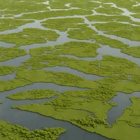 Terrebonne Basin Marshes