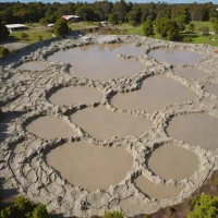 Te Kopia West Mud Pools