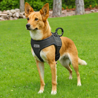 Tachikara Dog Harness