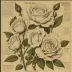 The White Rose: Third Leaflet