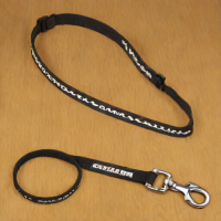 Tachikara Sports Dog Leash