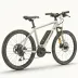 Trek Verve+ 2