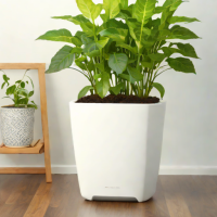 TerraBloom Self-Watering Planter