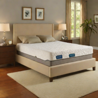 Tempur-Pedic TEMPUR-Cloud