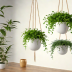 The Worth Co. Hanging Planters