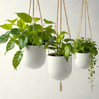 The Sill Hanging Planter - Ceramic