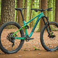 Transition Scout 2