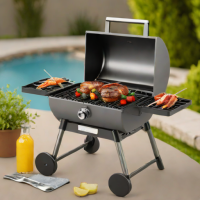 ThermoSmith Portable Charcoal Grill