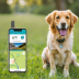 Tractive GPS Dog 3