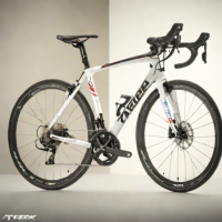 Trek Domane SLR