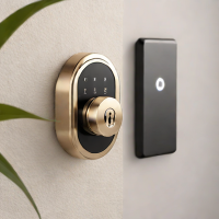 Tribeco Smart Lock