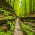 The Mullerthal Trail, Luxembourg