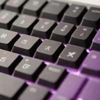 Tecsee Purple Panda