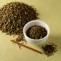 Uji Dento Hjicha