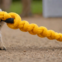 Ultimate Tug Cord
