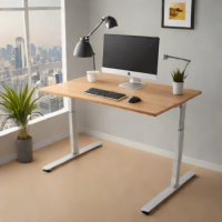 Uplift Standing Desk V2 (Compact)