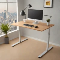 Uplift Standing Desk V2 (Compact)