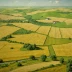 Ukrainian Steppe