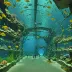 Underwater World Pattaya