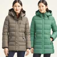 Uniqlo Ultra Light Down Parka