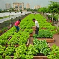 UrbanKisaan