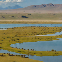 Uvs Nuur Basin National Park (Mongolia)