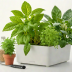 Urban Leaf Herb Garden Kit