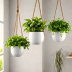 Utopia Home Goods Hanging Planters