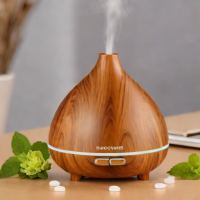 URPOWER Essential Oil Diffuser