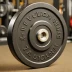 Vulcan Absolute Bumper Plates