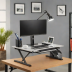 VariDesk Pro Plus (Small Footprint)