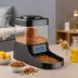 Veken Automatic Pet Feeder